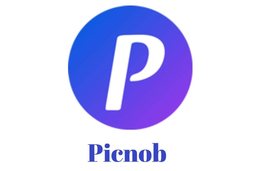 picnob instagram